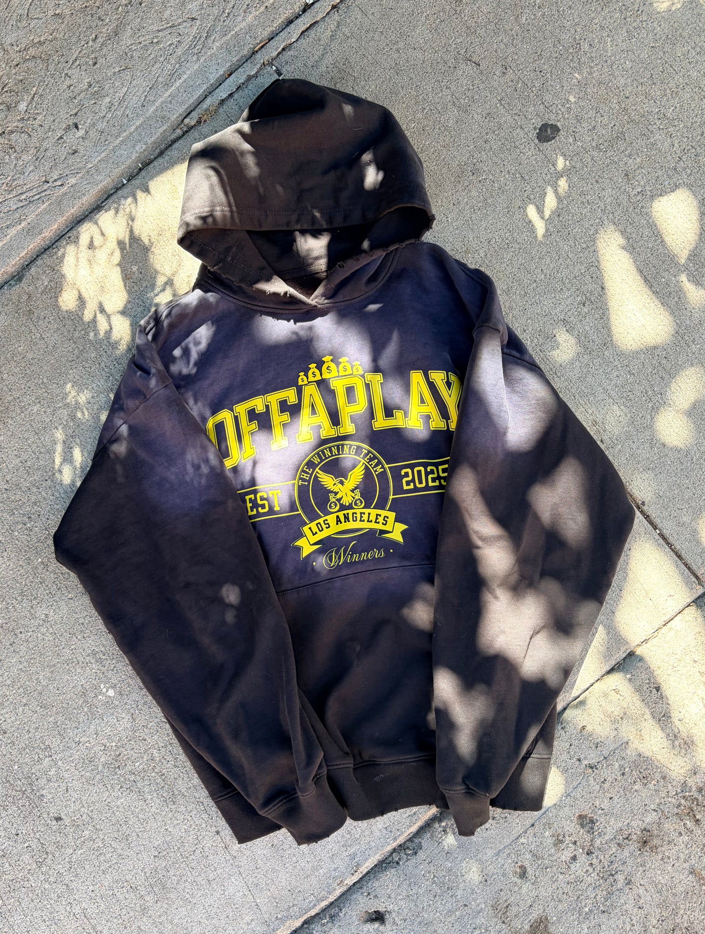 Winning Team Hoodie