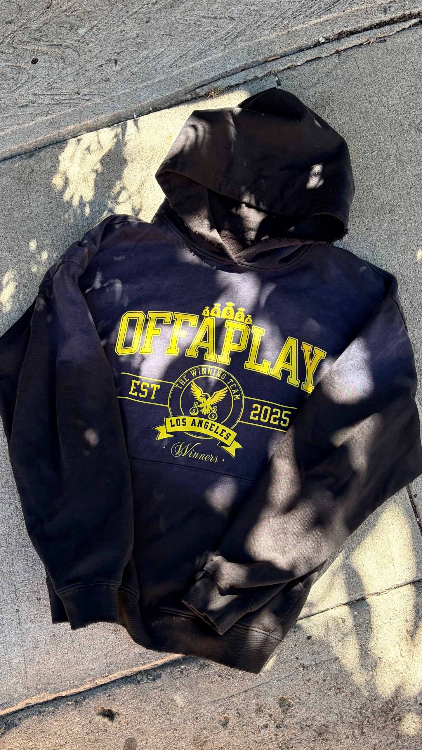 Winning Team Hoodie