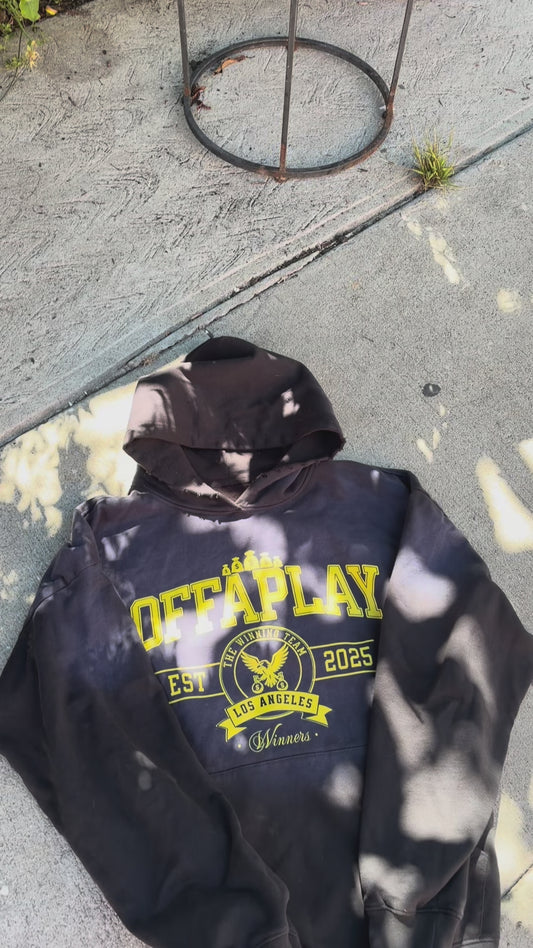 Winning Team Hoodie
